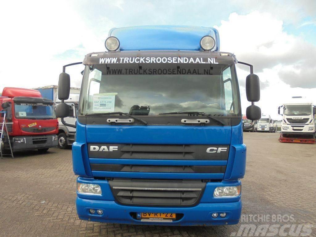 DAF CF 75.250 + Euro 5 Chassis Cab trucks