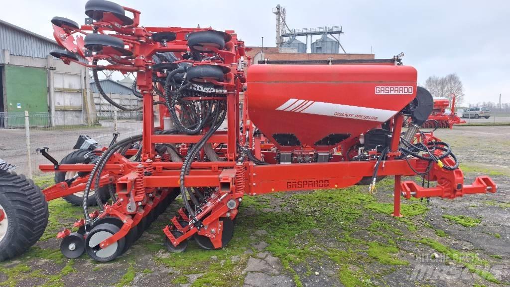 Gaspardo Gigante Mibzerler