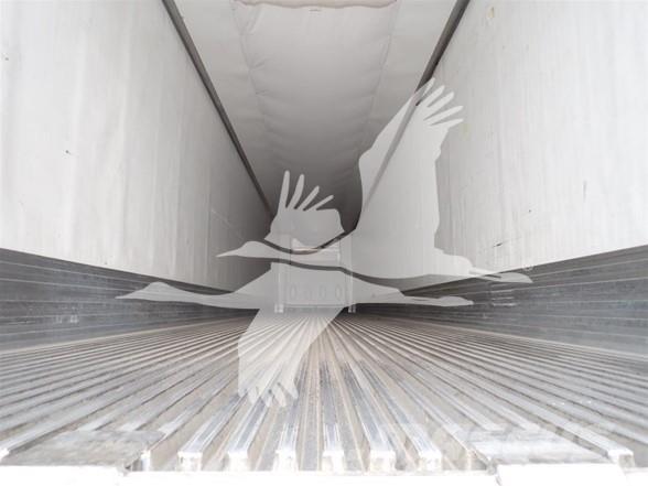 Utility 3000R Frigofrik çekiciler