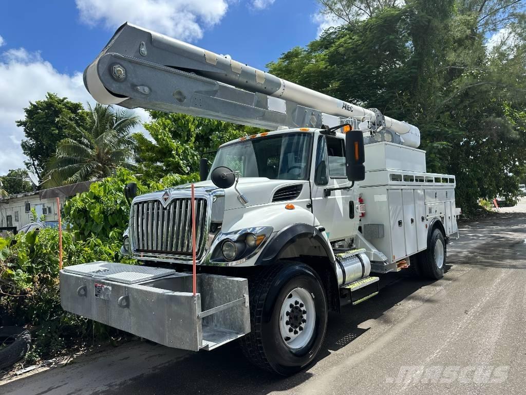 International 7300 Araç üstü platformlar