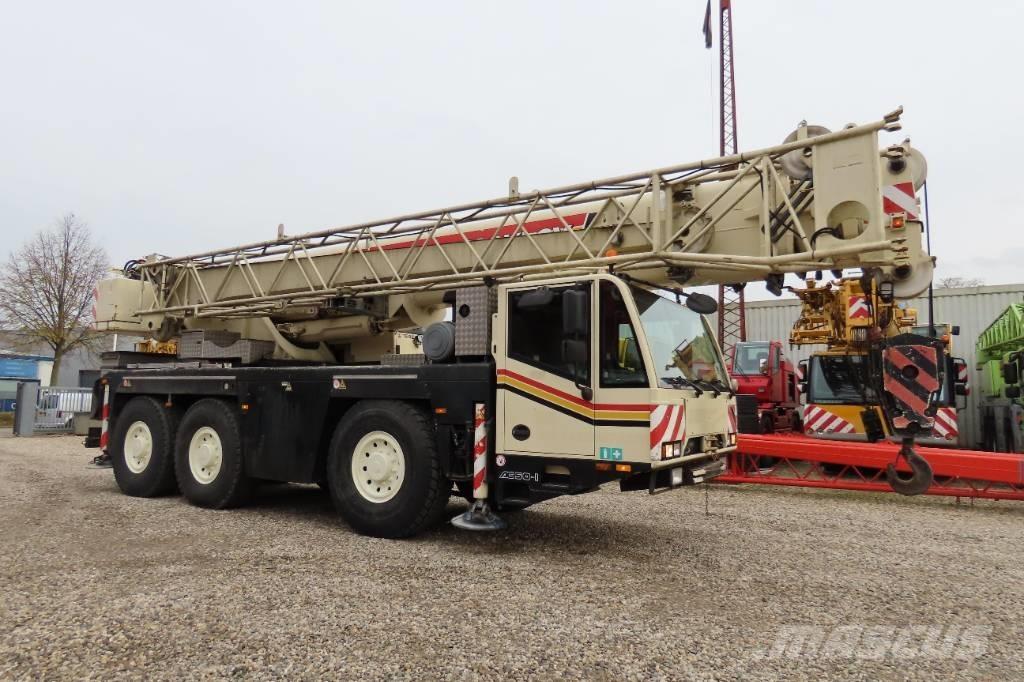Terex Demag AC 50-1 Yol-Arazi Tipi Vinçler (AT)