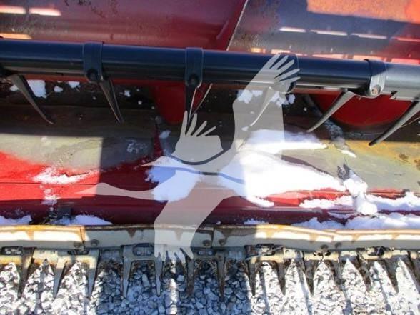 Case IH 1020 Biçerdöver kafaları