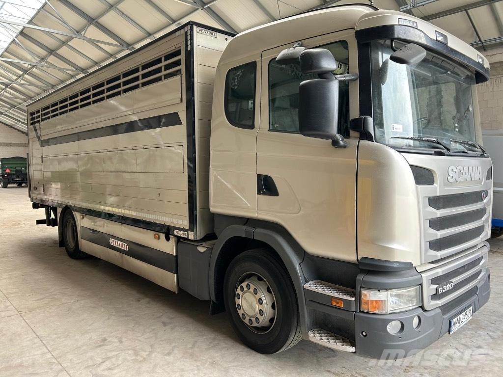 Scania G 320 Hayvan nakil kamyonlari