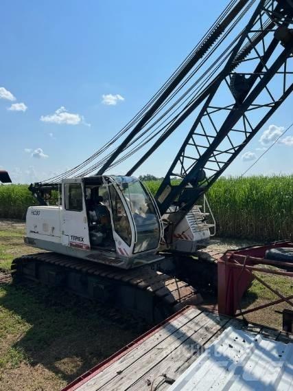Terex HC 80 Paletli vinçler