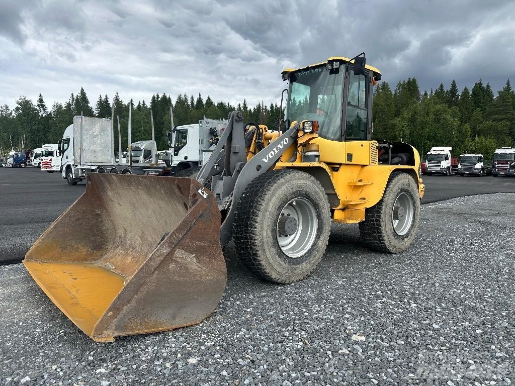 Volvo L45B 4X4 /245 Mini yükleyiciler