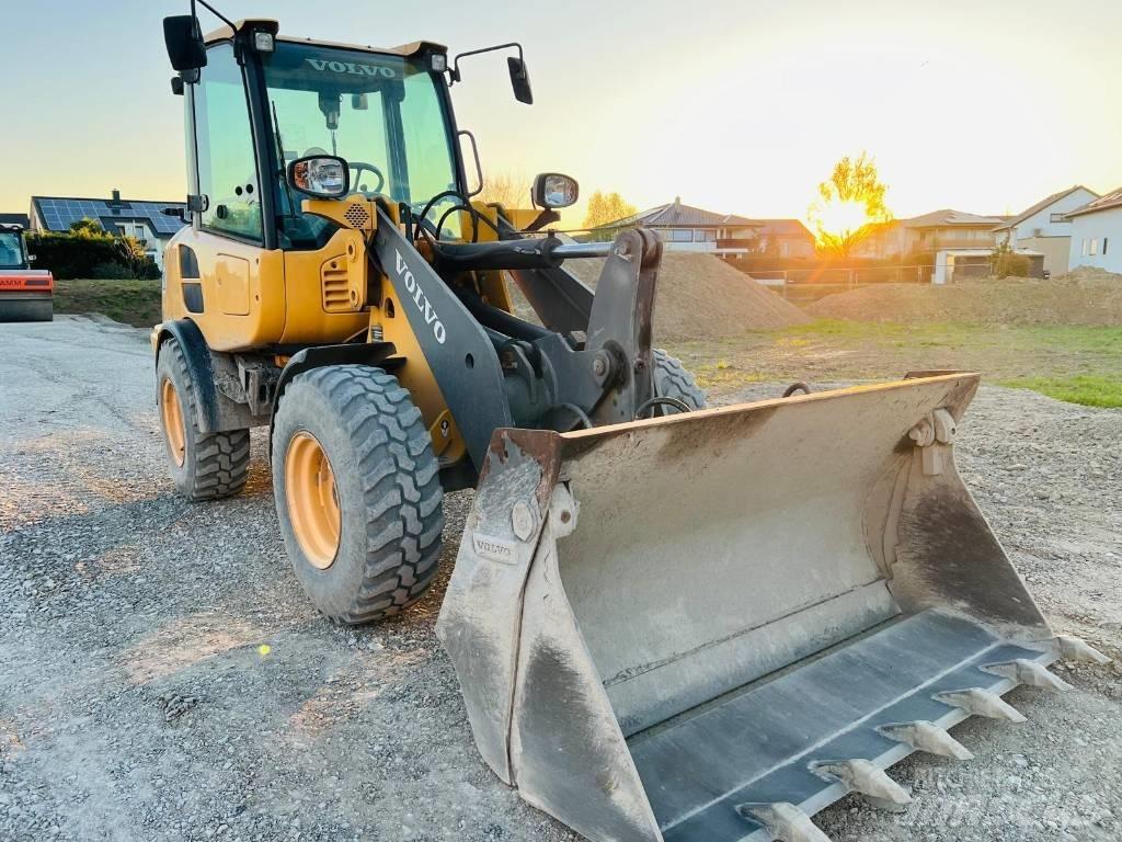 Volvo L25FZ Skid steer loderler