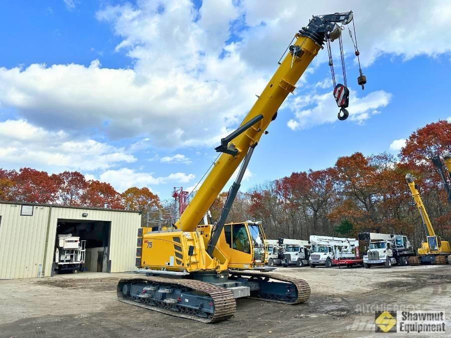Grove GHC 75 Paletli vinçler
