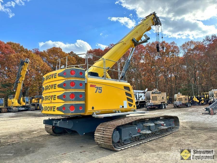 Grove GHC 75 Paletli vinçler