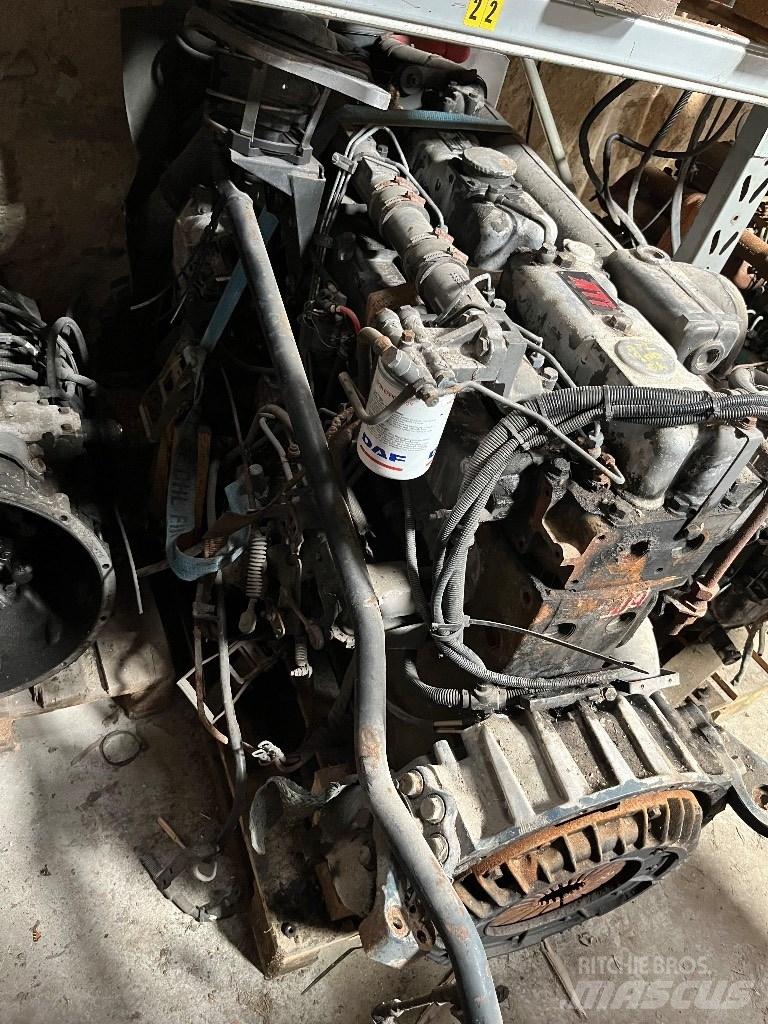 DAF WS295L Motorlar