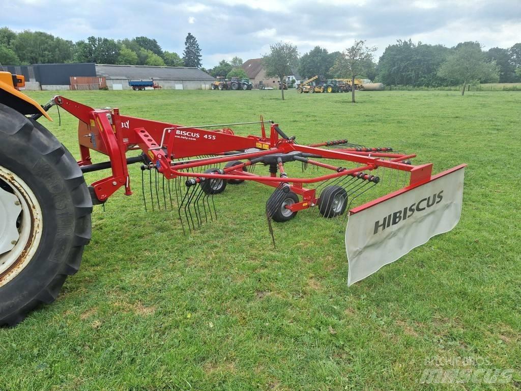 Lely Hibiscus 455 Ot Tirmigi
