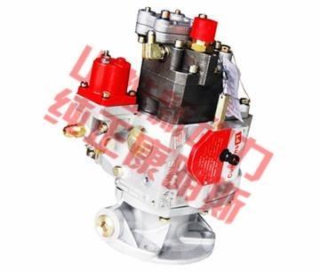 Cummins fuel pump Diger aksam