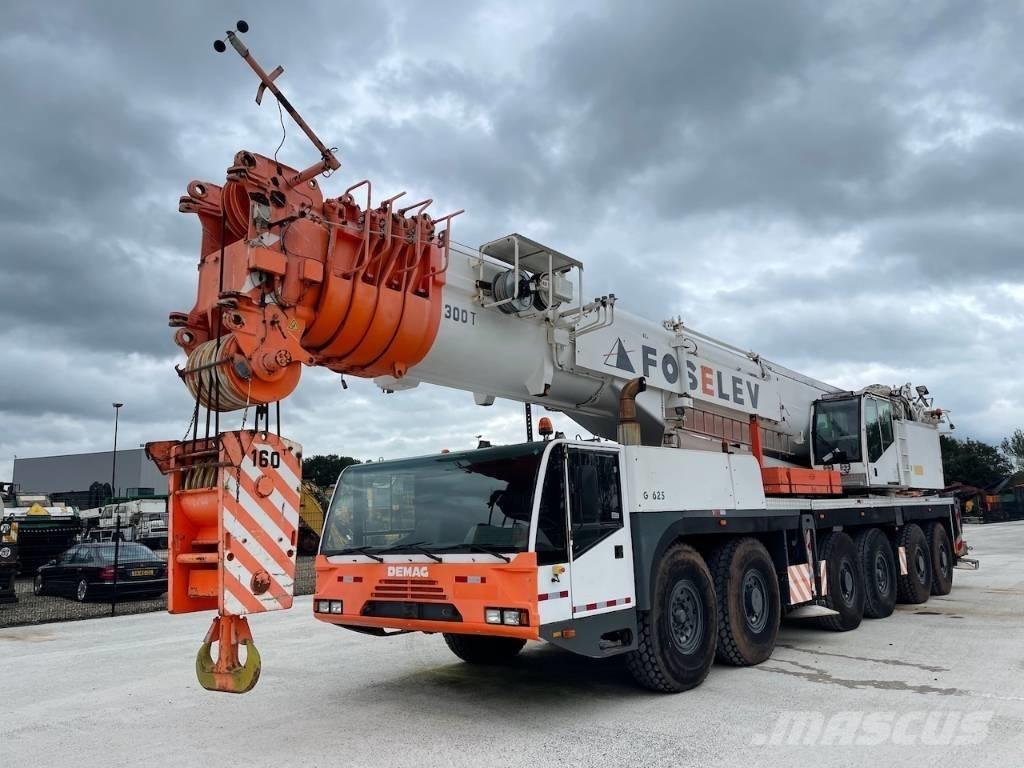 Demag AC 300 Yol-Arazi Tipi Vinçler (AT)