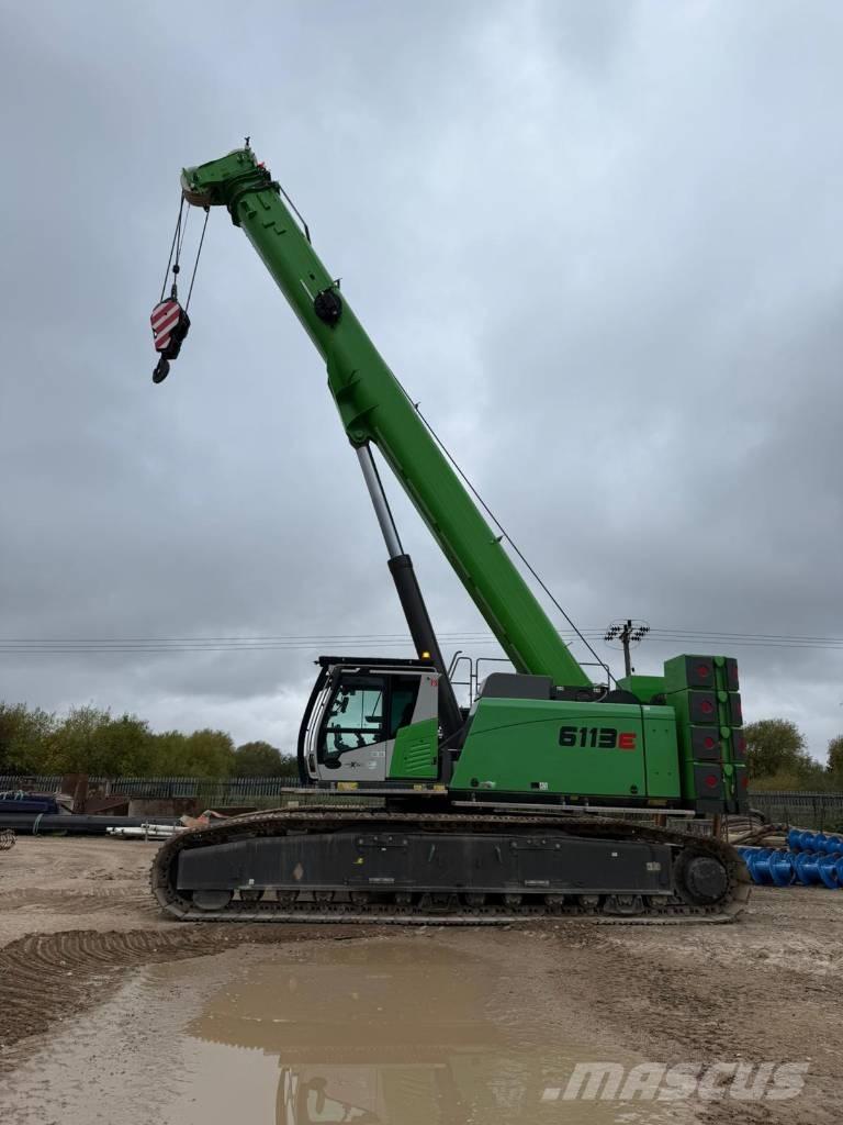 Sennebogen 6113 E Paletli vinçler