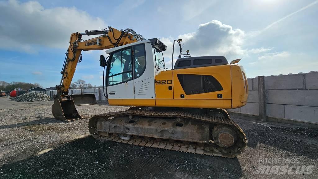 Liebherr R 920 LC Paletli ekskavatörler