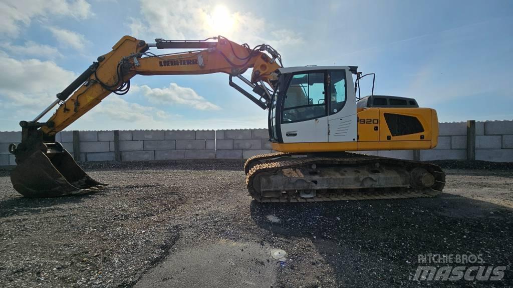 Liebherr R 920 LC Paletli ekskavatörler