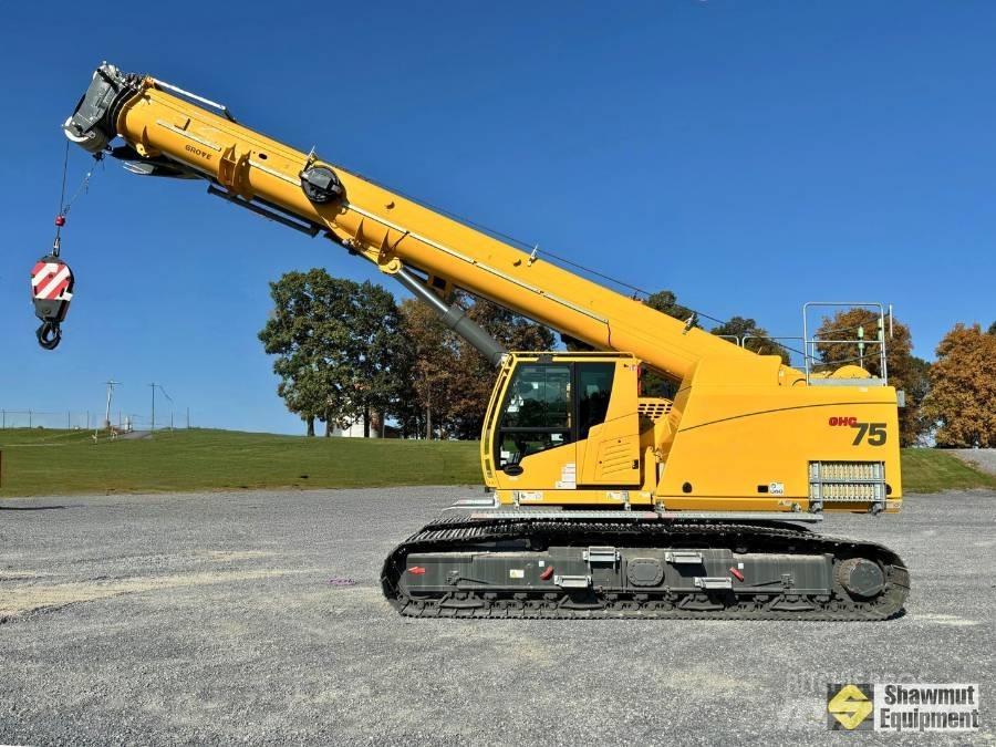 Grove GHC 75 Paletli vinçler