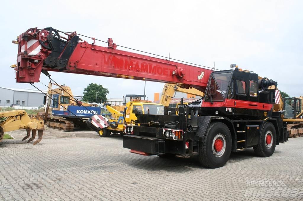 Tadano TR300EX NVT Yol-Arazi Tipi Vinçler (AT)