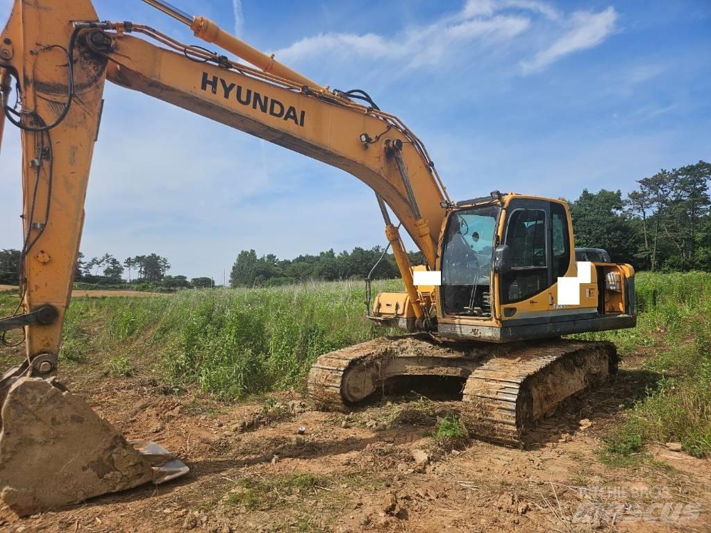 Hyundai Robex 220 LC Paletli ekskavatörler