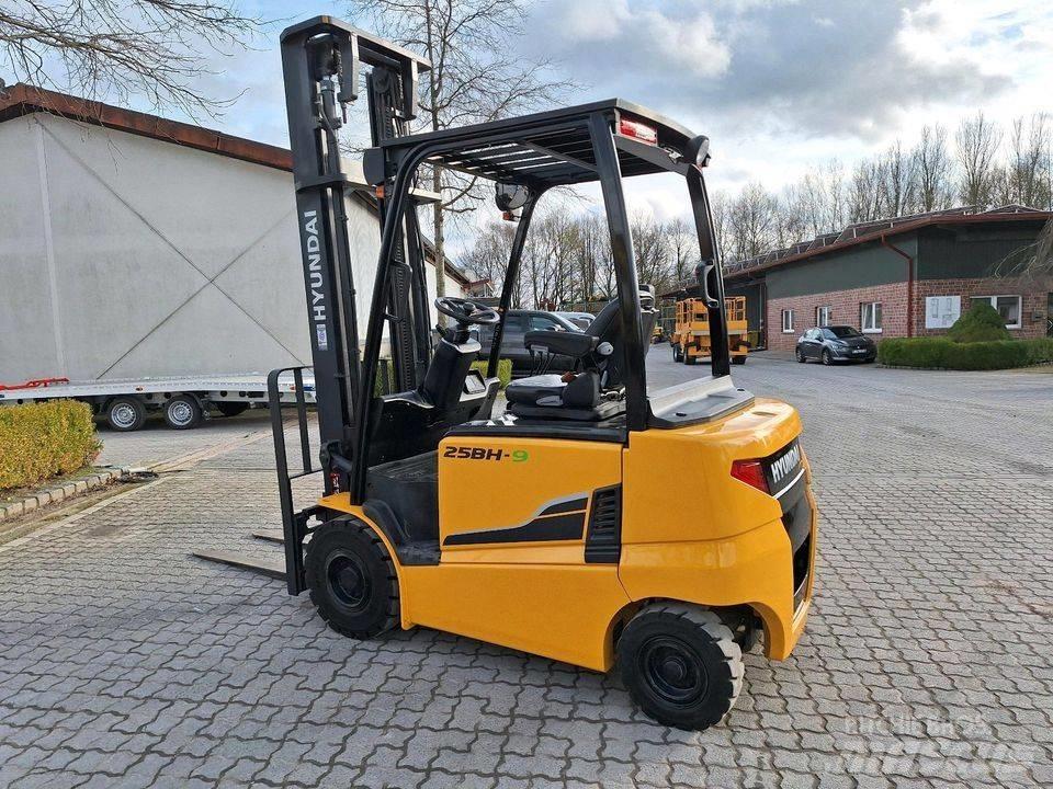 Hyundai 25 BH-9 Diger