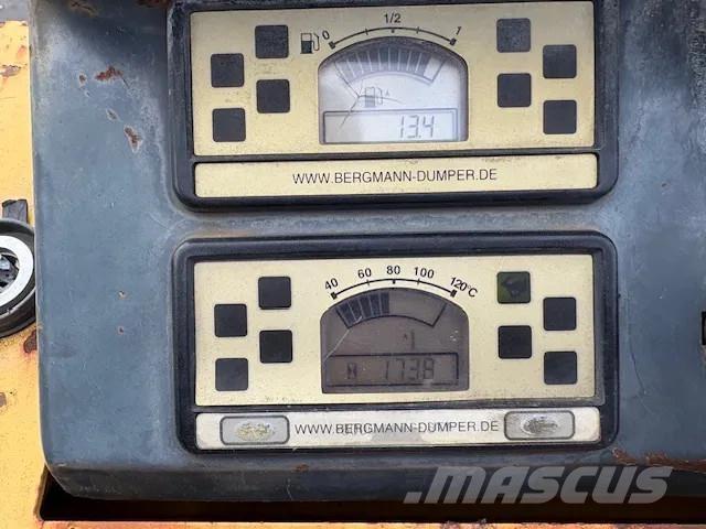 Bergmann 2050 Belden kirma kamyonlar