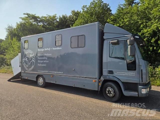 Iveco E 75 Hayvan nakil kamyonlari