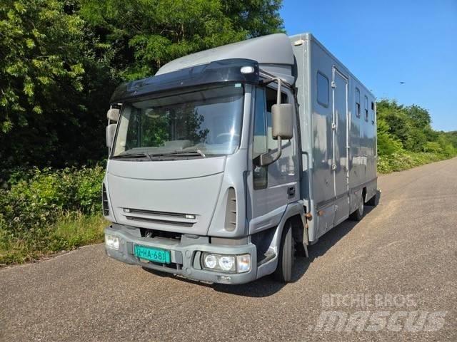 Iveco E 75 Hayvan nakil kamyonlari