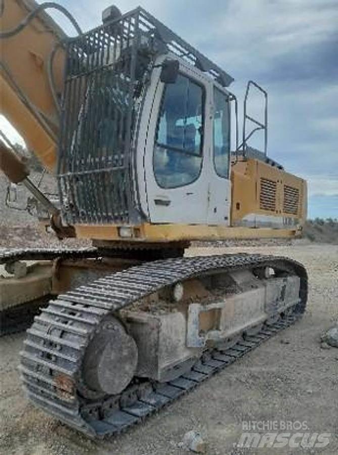 Liebherr R954 Özel ekskavatörler