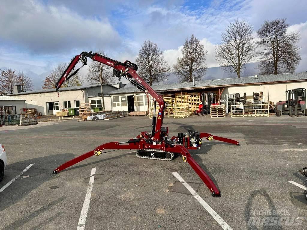 Befard TB5000 JIB Paletli vinçler