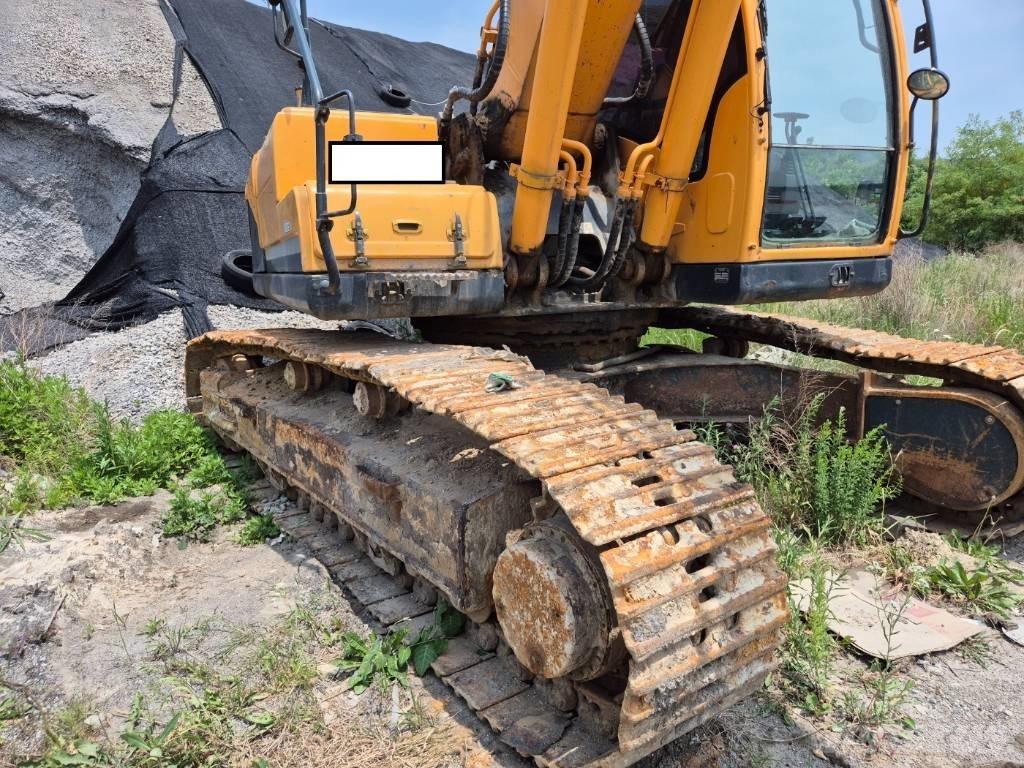 Hyundai Robex 300 LC Paletli ekskavatörler