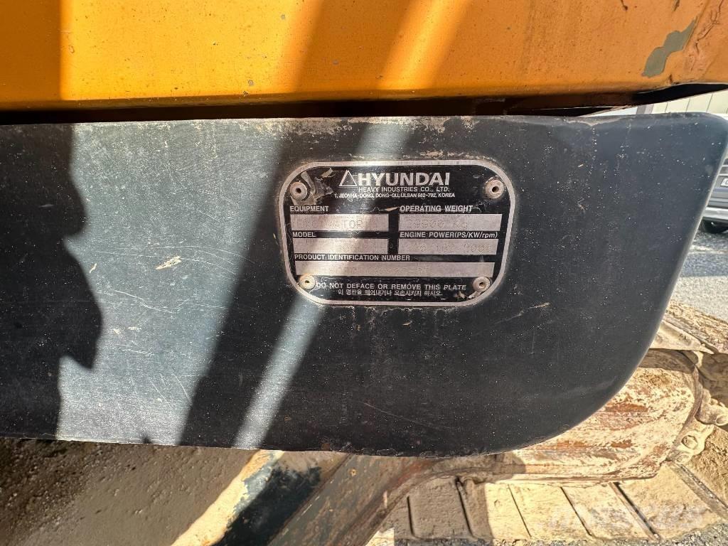 Hyundai Robex 300 LC Paletli ekskavatörler