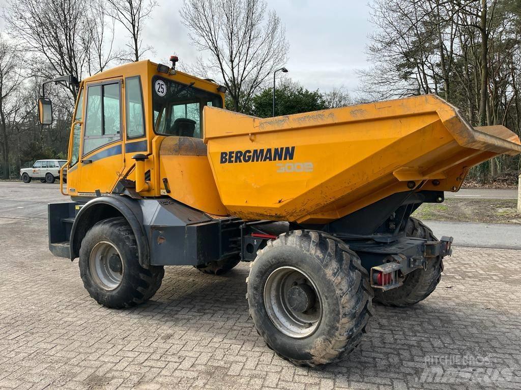 Bergmann 3009 R Belden kirma kaya kamyonu