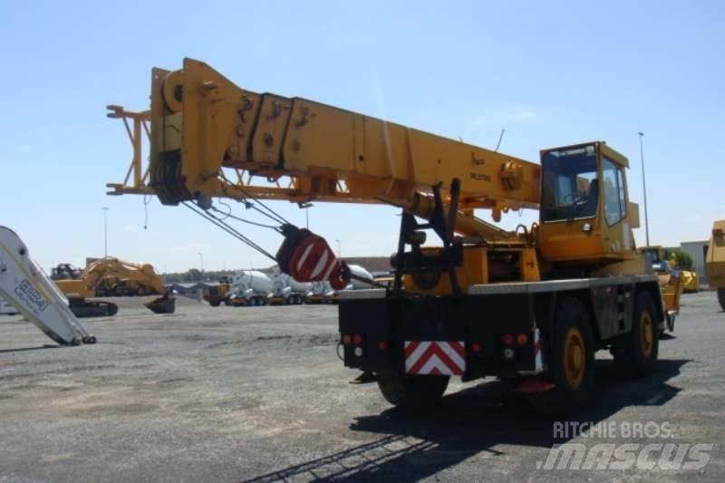 Grove TR250 Diger vinçler