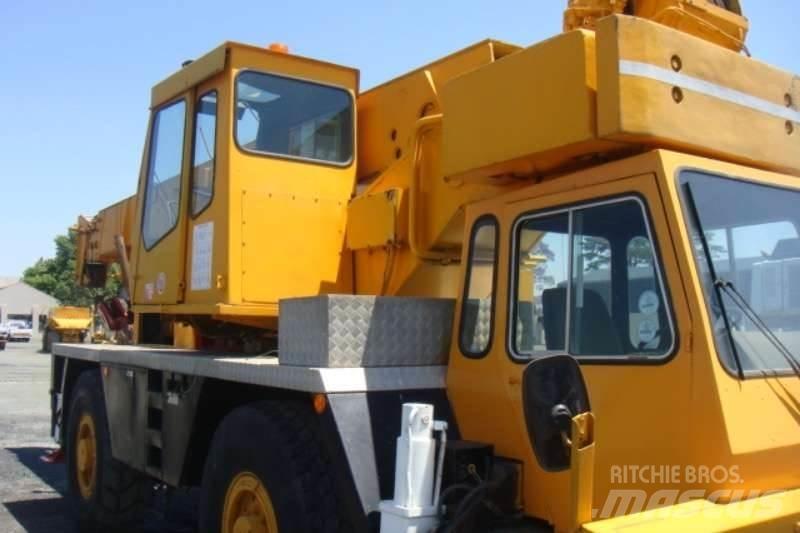 Grove TR250 Diger vinçler