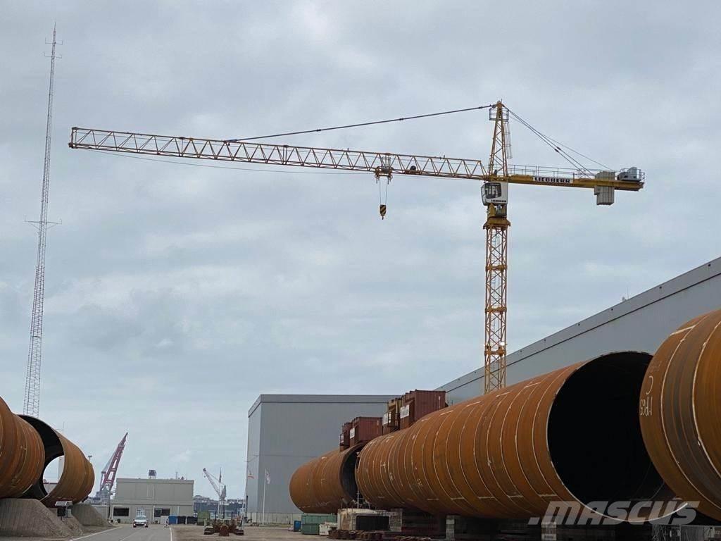 Liebherr 200 ECH 10 Kule vinçler