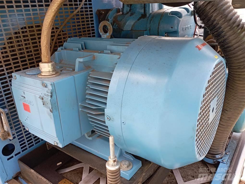 Boge SF24-2 Kompresörler