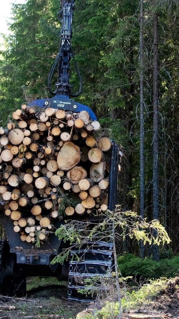  XL Grapple 028 STD Polipler