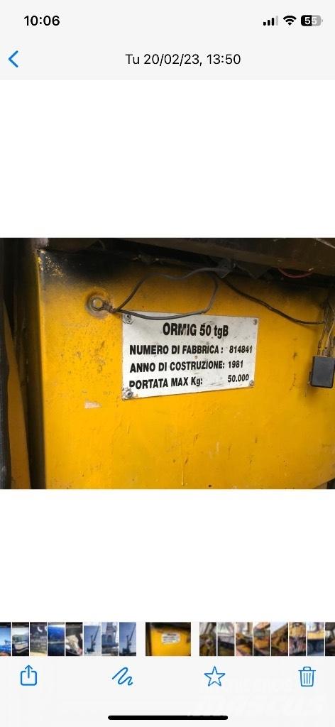 Ormig 50 ton Diger vinçler