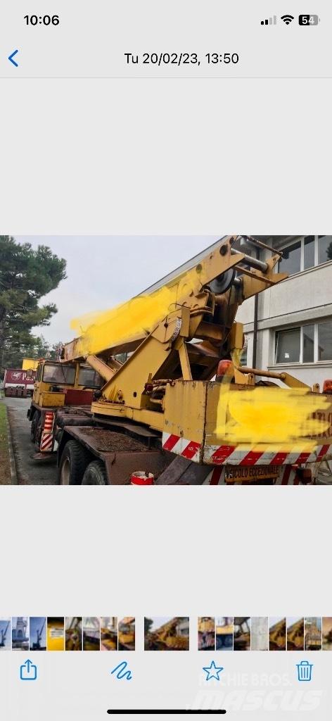 Ormig 50 ton Diger vinçler
