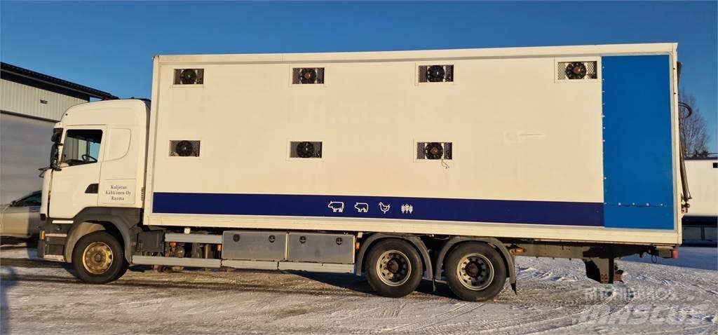 Scania R450 Hayvan nakil kamyonlari