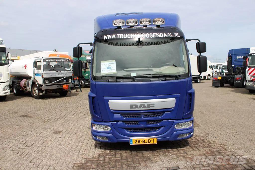 DAF LF 230 + EURO 6 Hayvan nakil kamyonlari