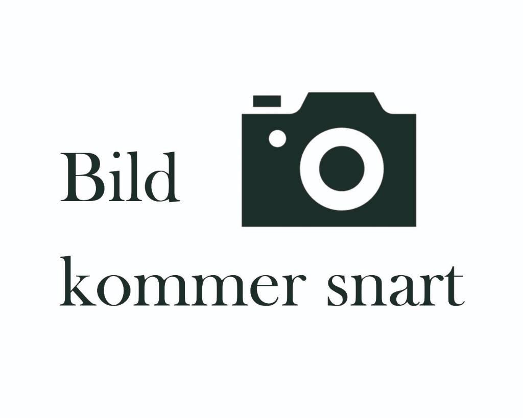 BT LPE250 Düsük seviye platformu