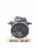 ZF 8S180 MAN Sanzumanlar
