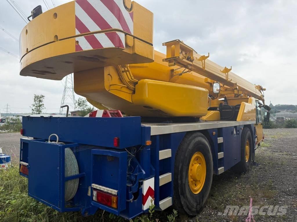 Terex PPM AC 35 Yol-Arazi Tipi Vinçler (AT)