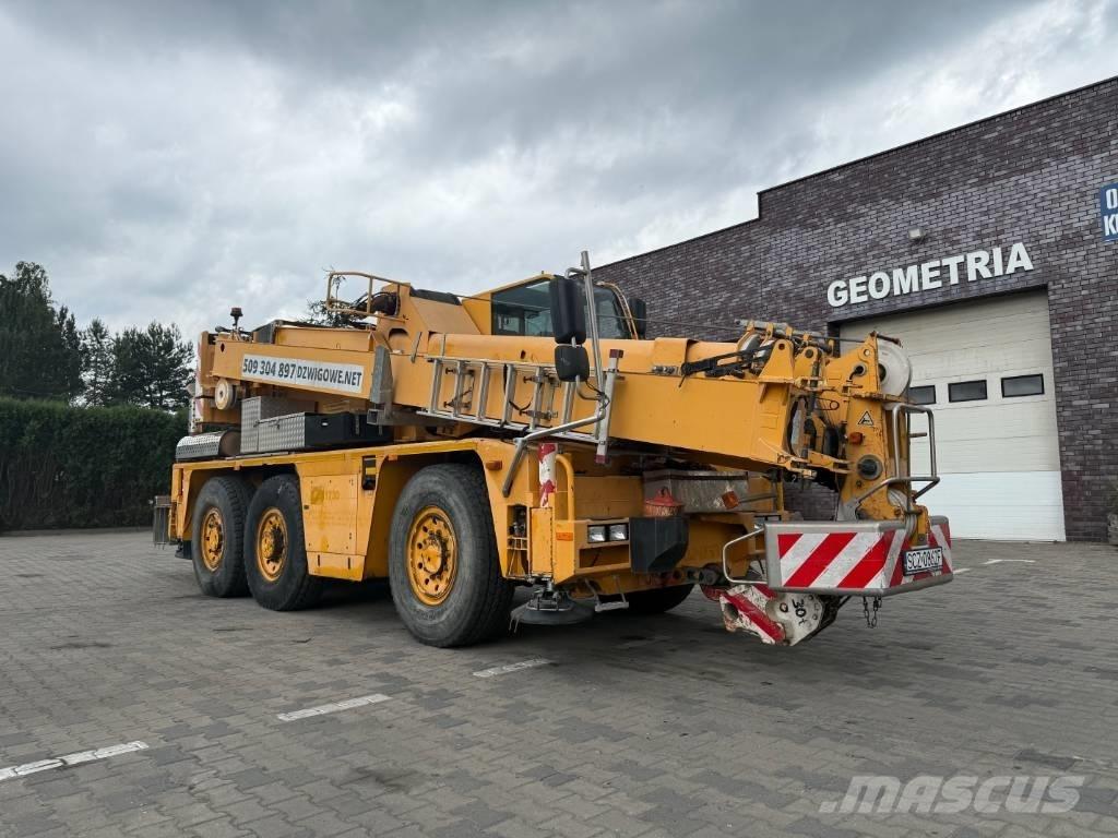 Demag AC 40-1 City Yol-Arazi Tipi Vinçler (AT)