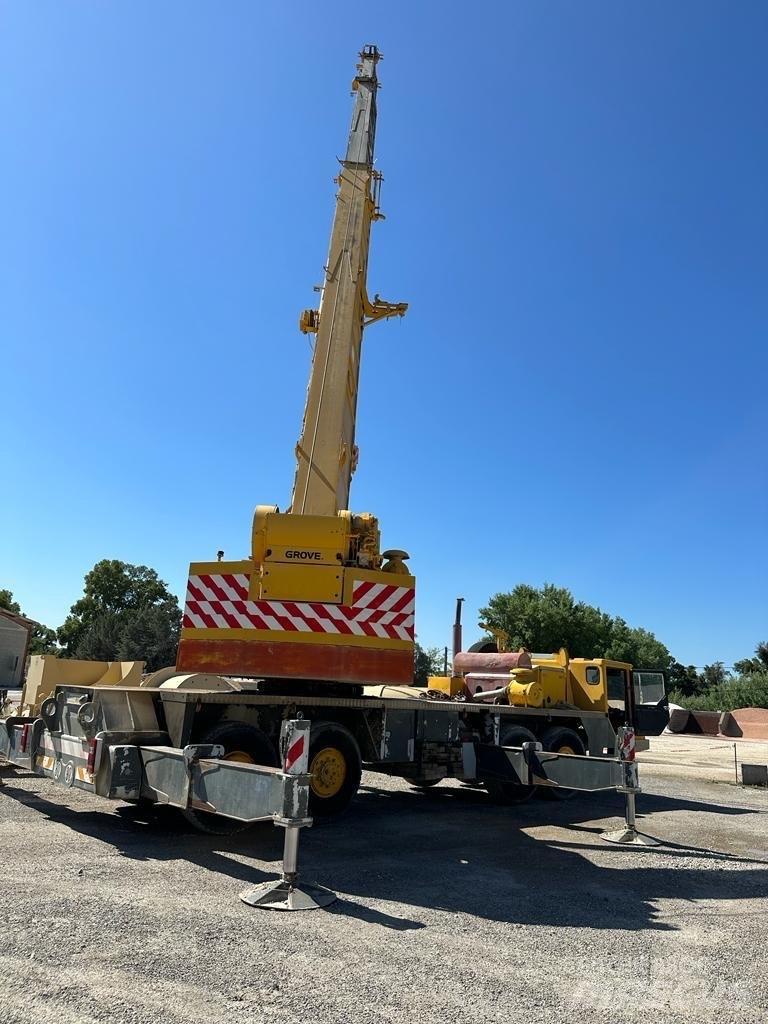 Grove TM 750 E Paletli vinçler