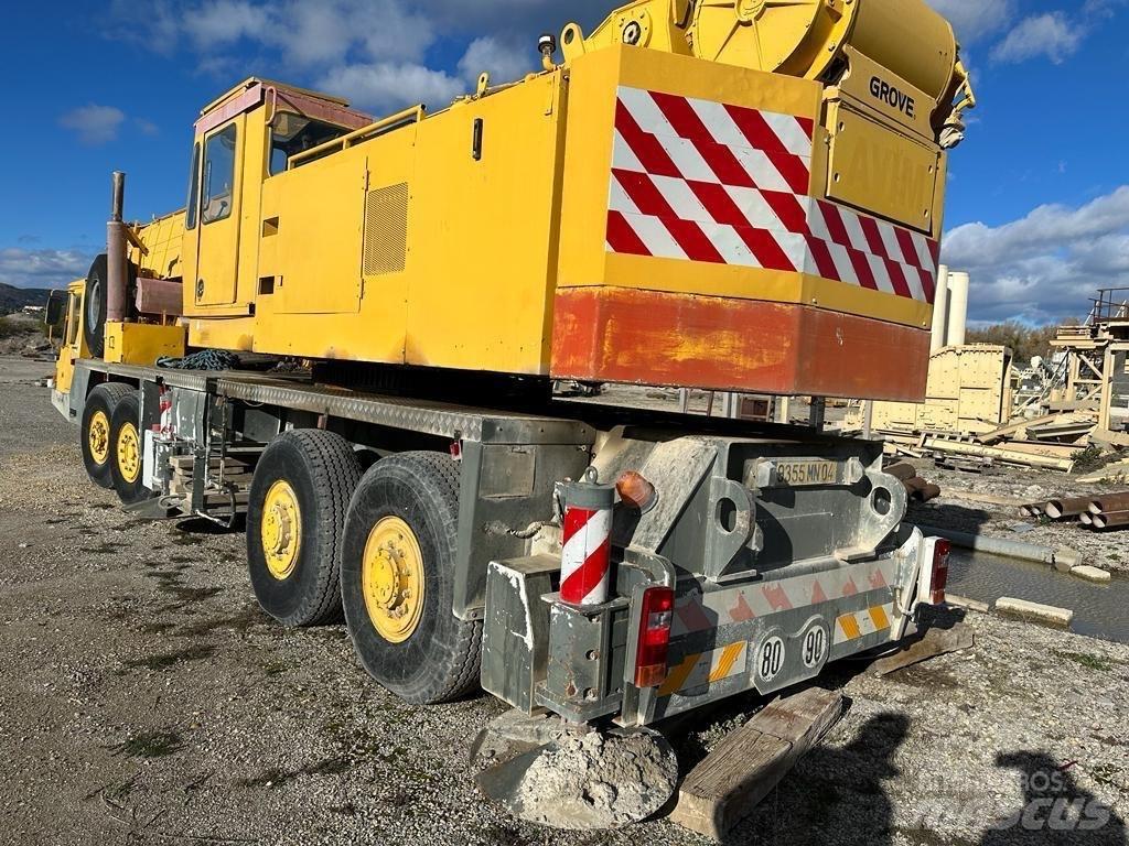 Grove TM 750 E Paletli vinçler