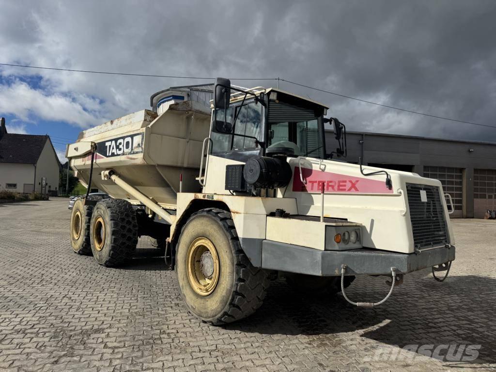 Terex TA 30 Belden kirma kaya kamyonu