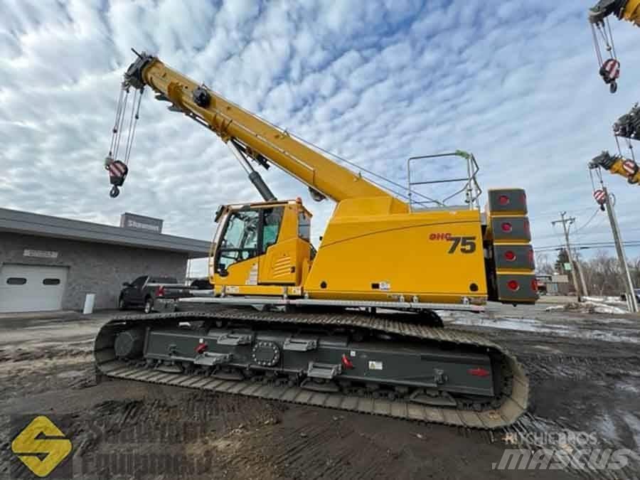 Grove GHC 75 Paletli vinçler