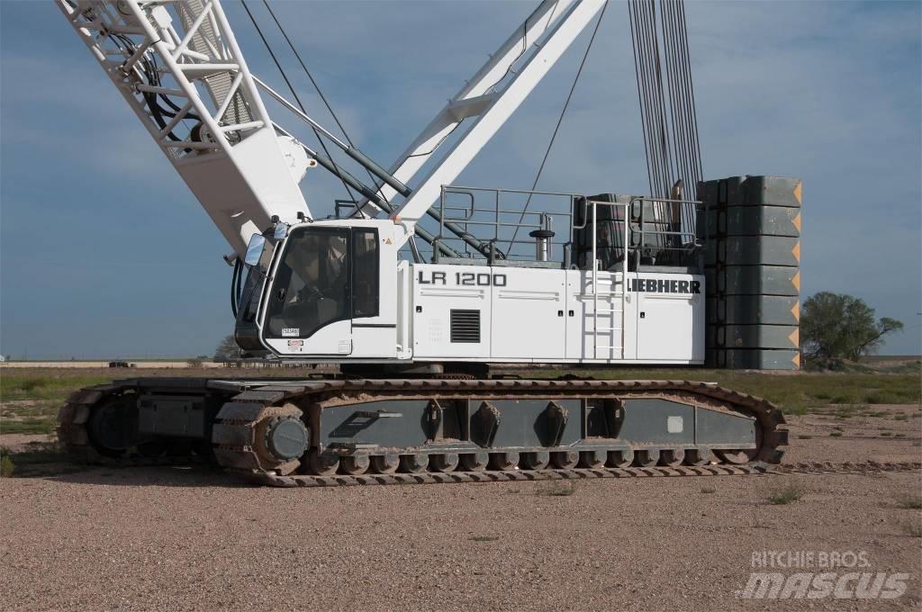 Liebherr LR 1200 Paletli vinçler