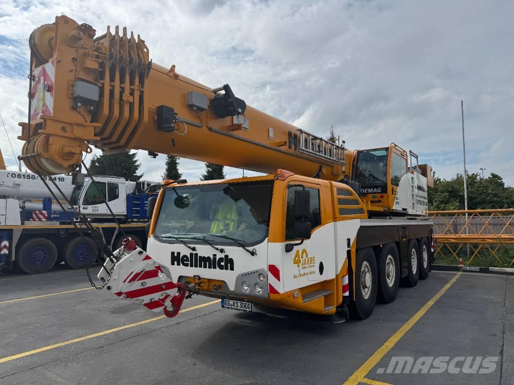 Terex AC 100/4L Yol-Arazi Tipi Vinçler (AT)